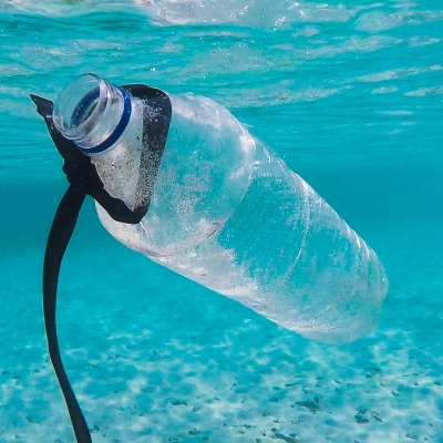 Health & Environmental Impacts of Single-Use Plastic